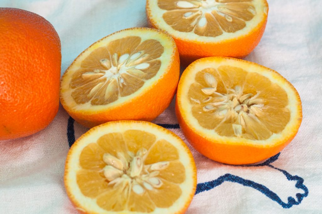 Upoznajte gorku pomorandžu i njene benefite po zdravlje i mršavljenje